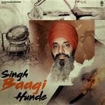 Singh Baagi Hunde