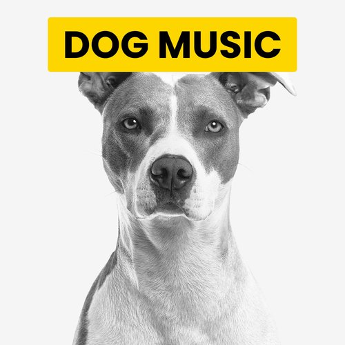 Extraordinary Ambience for Happy Dog Zone cover art