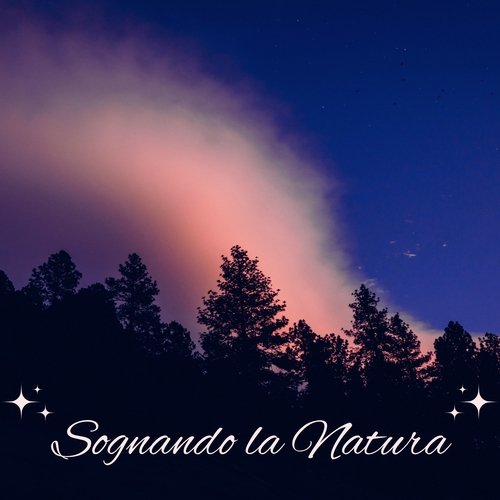Foresta incantata cover art