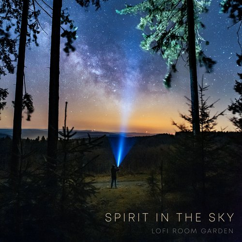 Spirit in the Sky