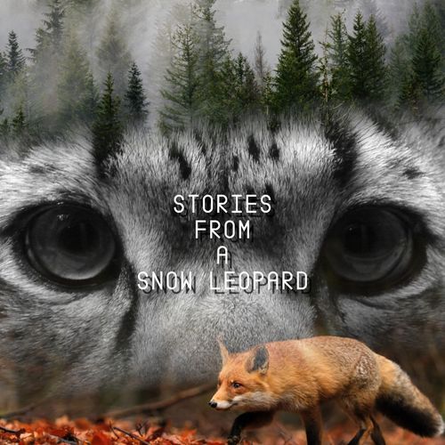 Stories From A Snow Leopard EP
