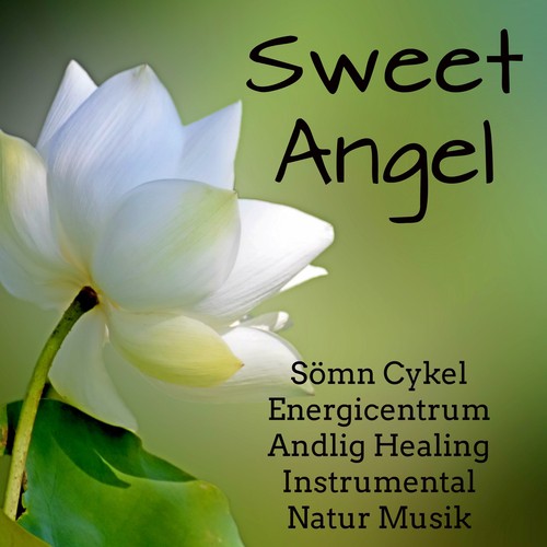 Sweet Angel - Sömn Dröm Cykel Energicentrum Andlig Healing Instrumental Natur Musik för Djup Koncentration Fokus Minska Ångest_poster_image