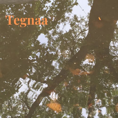 Tegnaa cover art