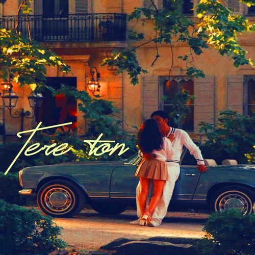 Tere Ton