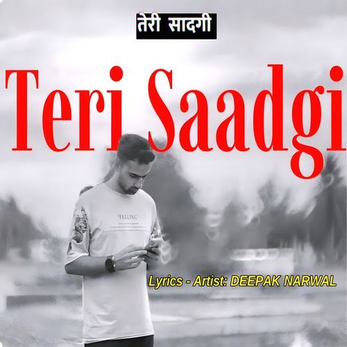 Teri Saadgi