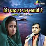 Teri Yaad Har Pal Satati Hai