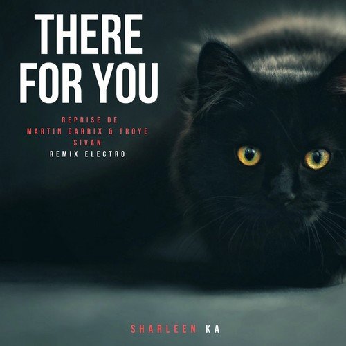 There For You - 1 - Song Download from There for You (Reprise De Martin Garrix & Troye Sivan Remix Electro) @ JioSaavn There For You - 1 - Song Download from There for You (Reprise De Martin Garrix & Troye Sivan Remix Electro) @ JioSaavn