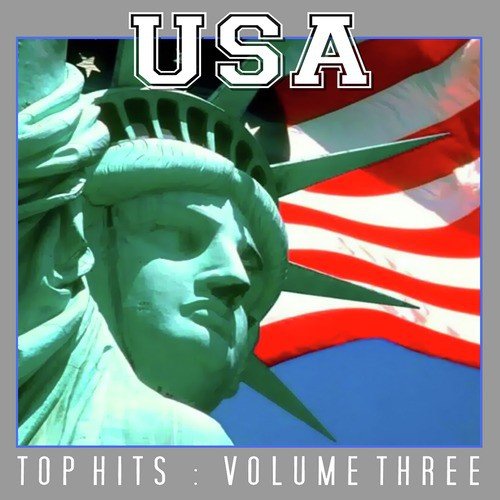 USA Top Hits Vol 3