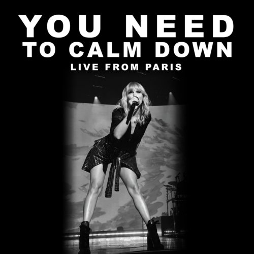 You Need To Calm Down (Live From Paris)_poster_image