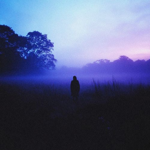 i hope to see you in a dream