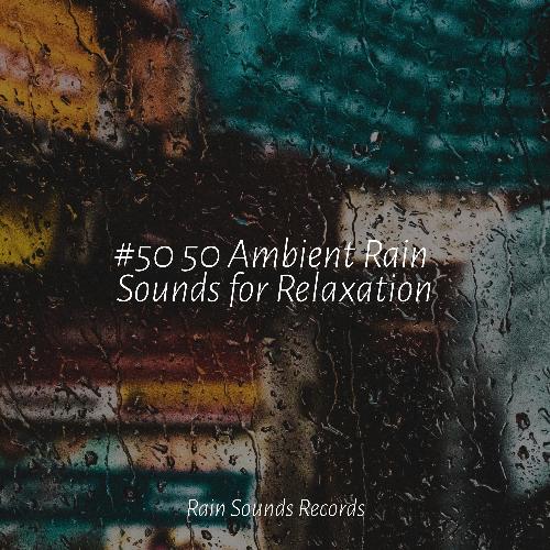 #50 50 Ambient Rain Sounds for Relaxation