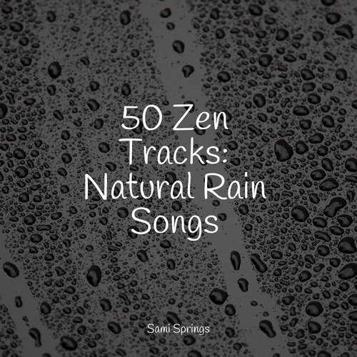 50 Zen Tracks: Natural Rain Songs