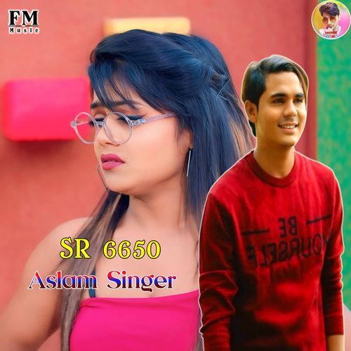 Aslam Singer SR 6650