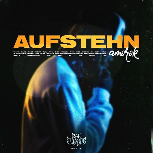 Aufstehn_poster_image