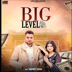Big Level artwork