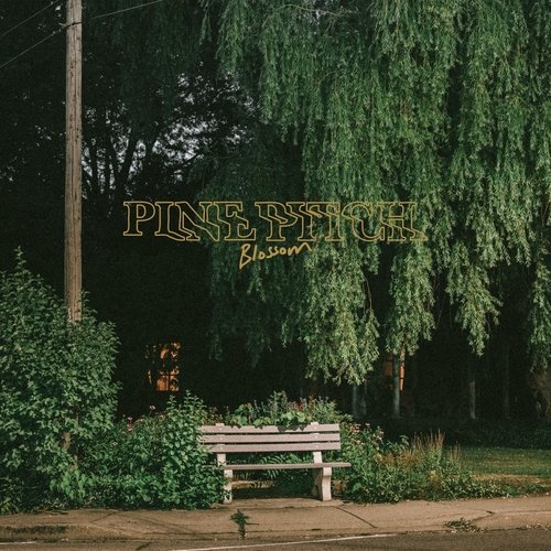 Blossom cover art