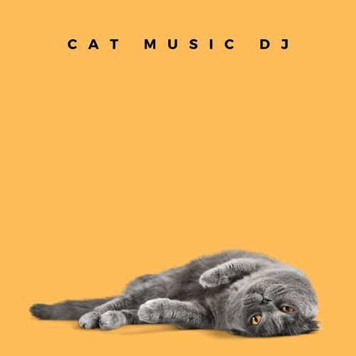 Calming Cats Music cover art