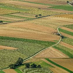 Battledows Coastline