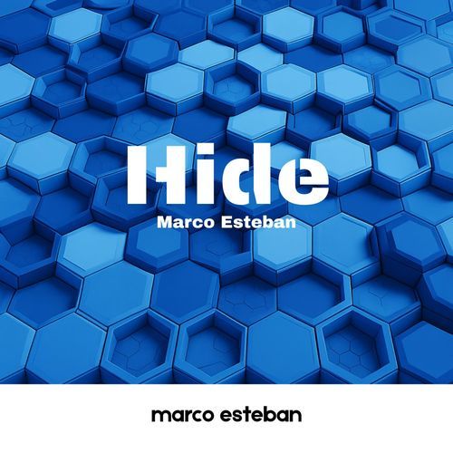 Hide (Extended Mix)