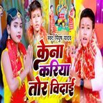 Kena Kariya Tor Bidai