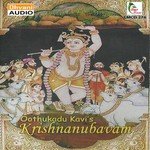 Tillana   Sindhubhairavi   Adi