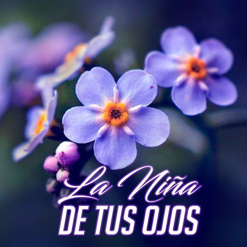 Rey De Los Cielos cover art