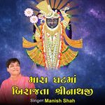 Mara Ghat Ma Birajta Shrinathji