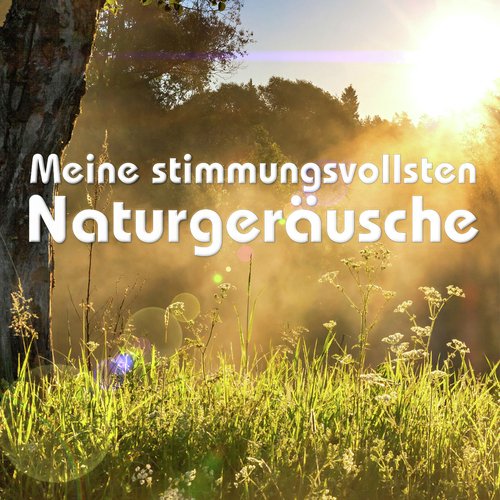An Einem Großen See, Mittags Im Sommer cover art