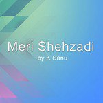 Meri Shehzadi