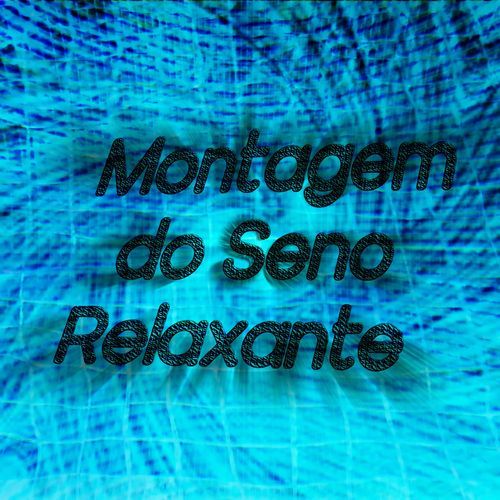 Montagem do Seno Relaxante (Fast) cover art
