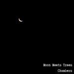 Moon Meets Trees