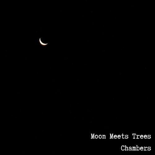 Moon Meets Trees
