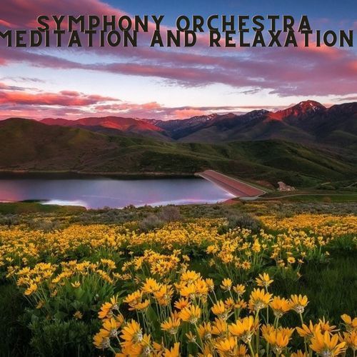 Serene Soundscapes cover art