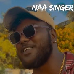 NAA SINGER-GRIPVDphdlo