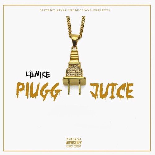 Plugg Juice