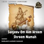 Sanjeev Om Aim Hreem Shreem Namah artwork