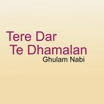 Tere Dar Te Dhamalan