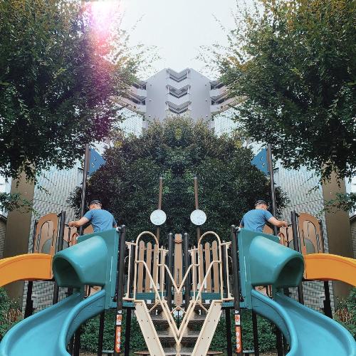The Model cover art