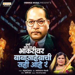 Tumhi Khata Tya Bhakari Ver Baba Sahebachi Sahi Hay R (Remix)