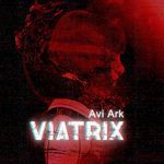Viatrix (Acacia Club Mix) artwork