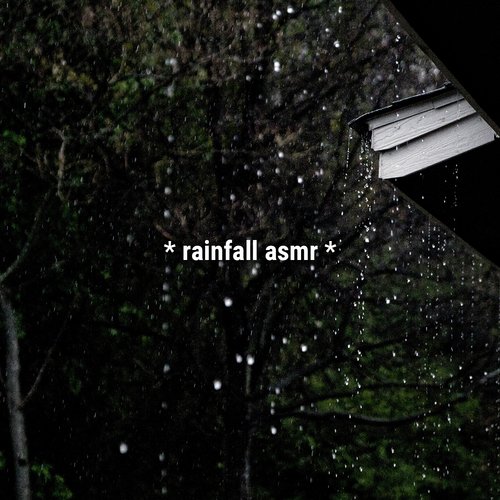 forest rain ambience cover art