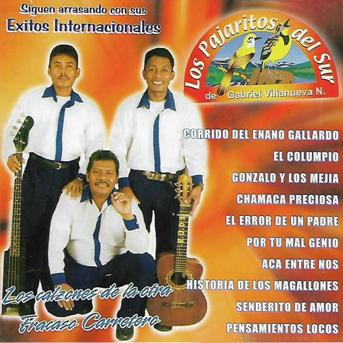 Historia De Los Magallones cover art