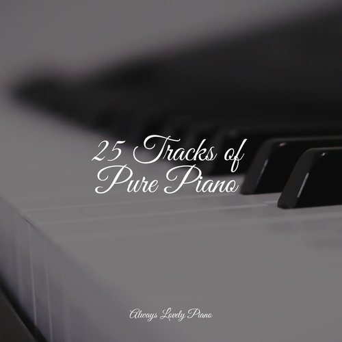 25 Tracks of Pure Piano