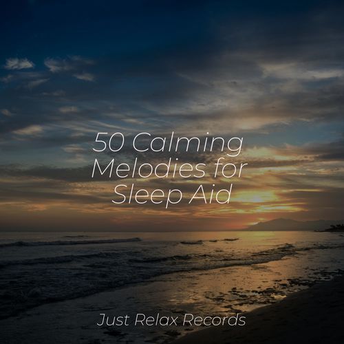 50 Calming Melodies for Sleep Aid