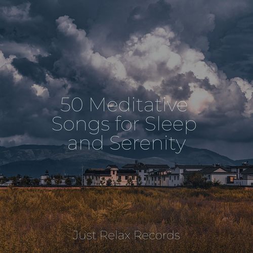 50 Meditative Songs for Sleep and Serenity