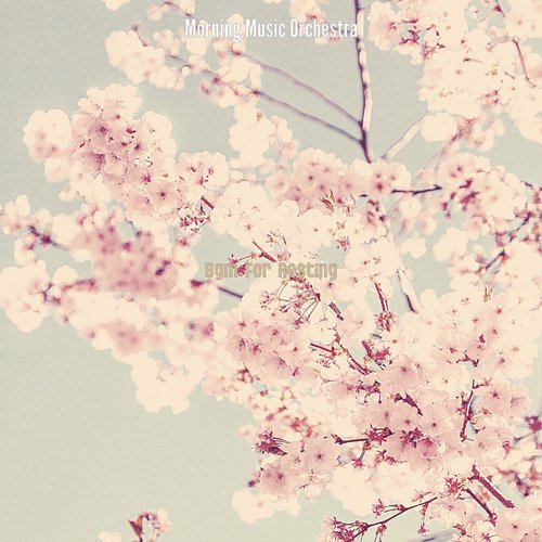 Incredible Harps and Guitars - Vibe for Nature cover art