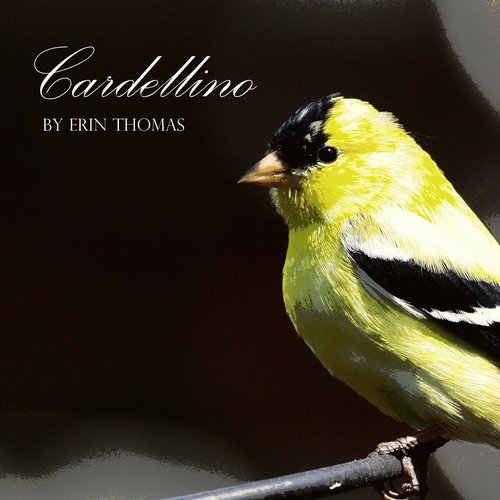 Cardellino cover art