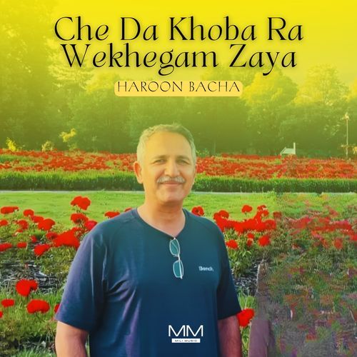 Che Da Khoba Ra Wekhegam Zaya