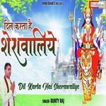 Dil Karta Hai (Hindi)