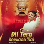 Dil Tera Deevana Hai